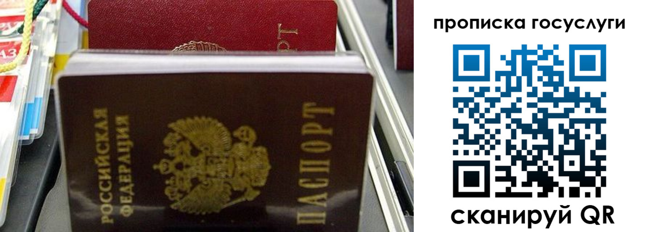 где прописаться в Похвистнево
